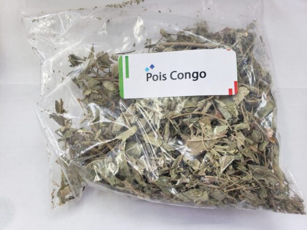 Pois Congo (Haitian leaf)