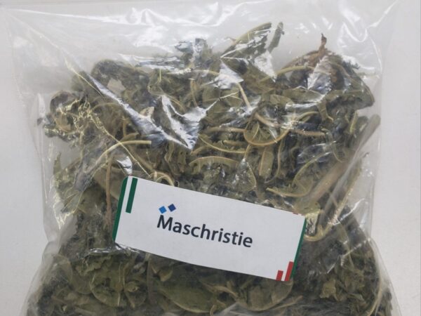 Feuille de maschristie