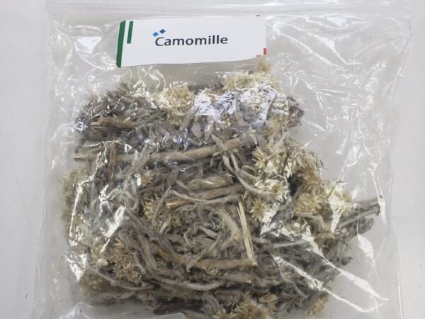 Camomile