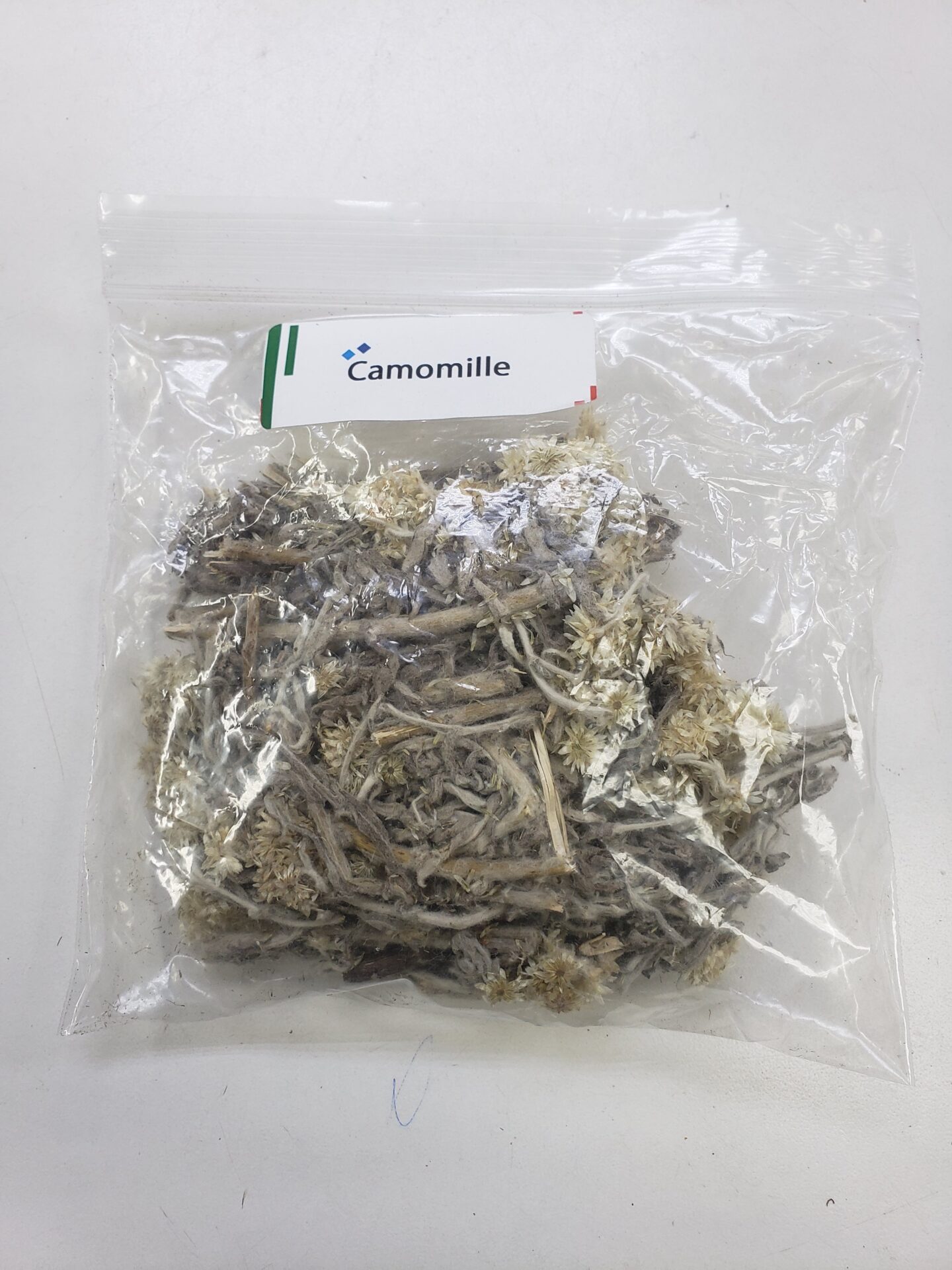 Camomile